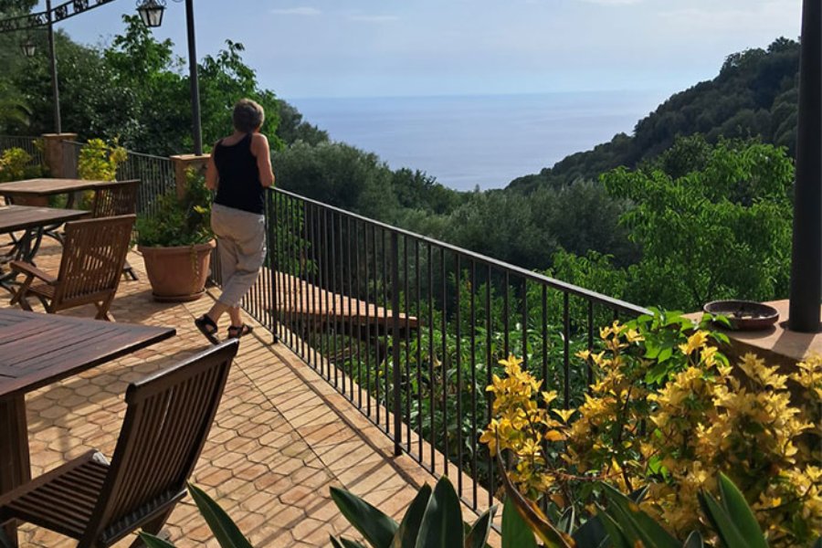 Die Schule — Pisciotta 2